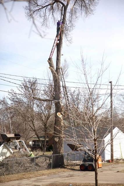 Since we are sharing sketchy ladder set ups Saw this photo